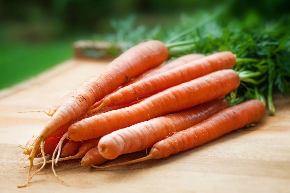 Plant-Based Pantry Staples for Global Home Cooking